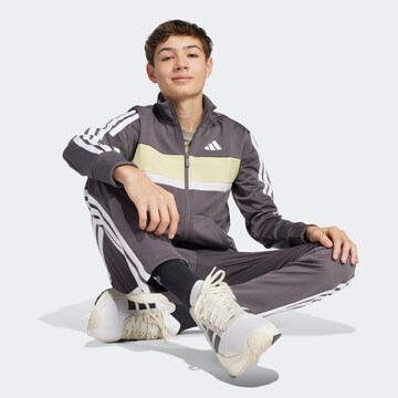 ADIDAS SPORTSWEAR Set 'Seasonal Essentials Tiberio' in Gold