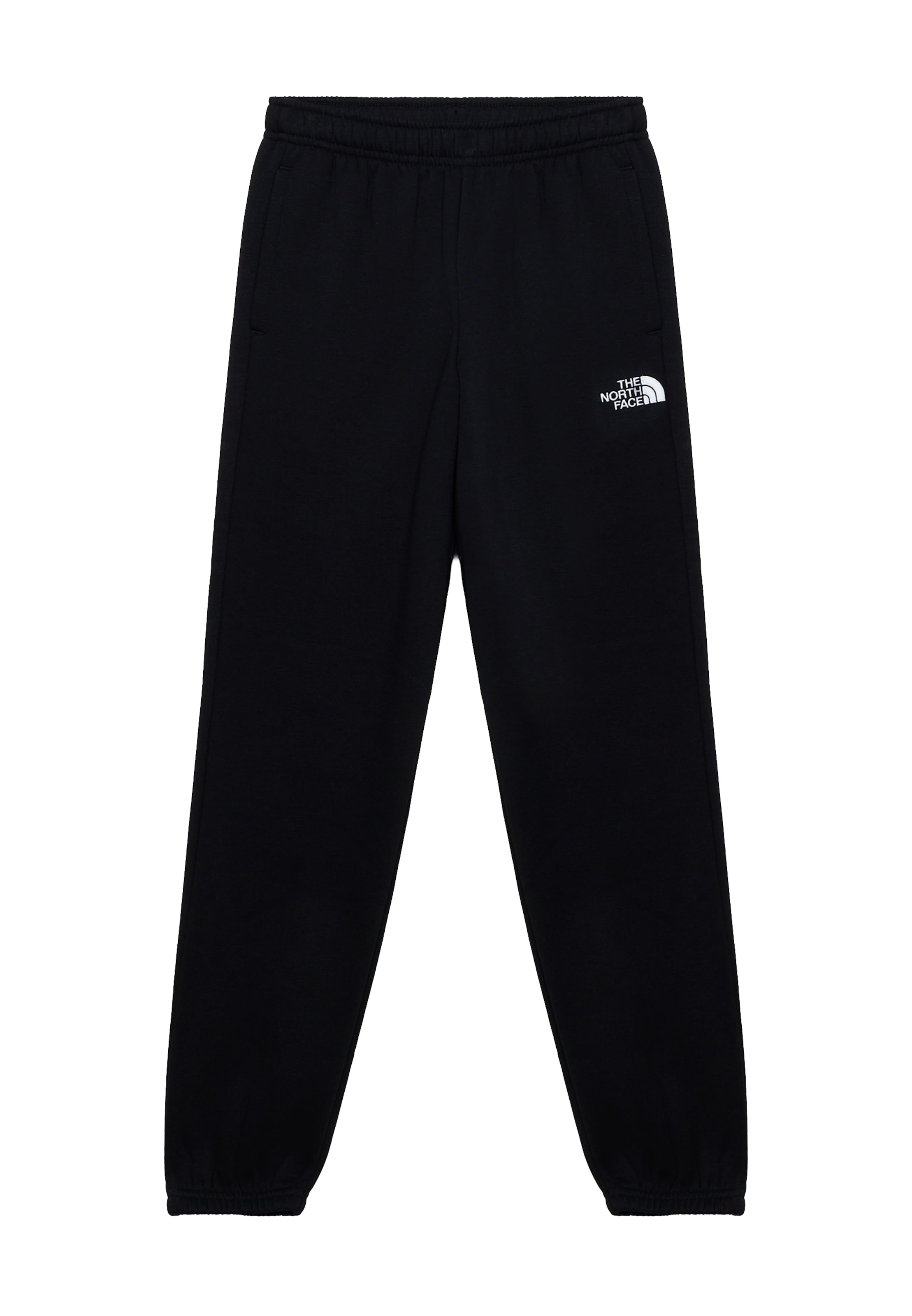 THE NORTH FACE Tapered Sports trousers 'EVOLUTION SIMPLE DOME' in Black: front