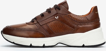 Martinelli Trampki niskie 'Norwich' w kolorze brązowy: przód