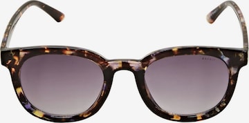 ESPRIT Sonnenbrille in Lila: predná strana