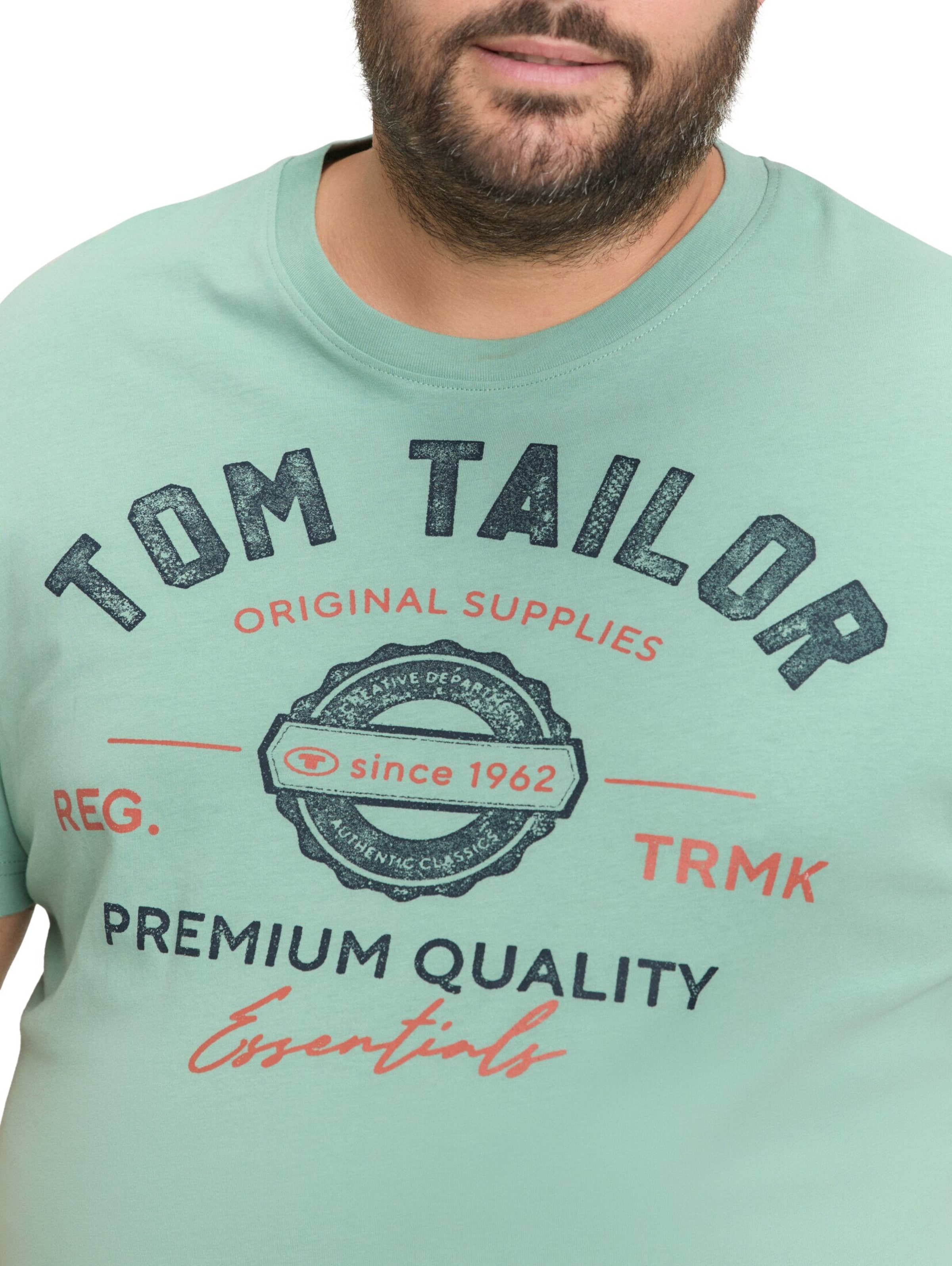 TOM TAILOR Men + Shirt in Green