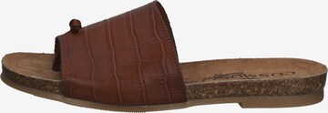 COSMOS COMFORT T-Bar Sandals in Brown: front