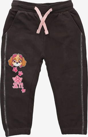 PAW Patrol Tapered Hose 'Skye' in Grau: Vorderseite