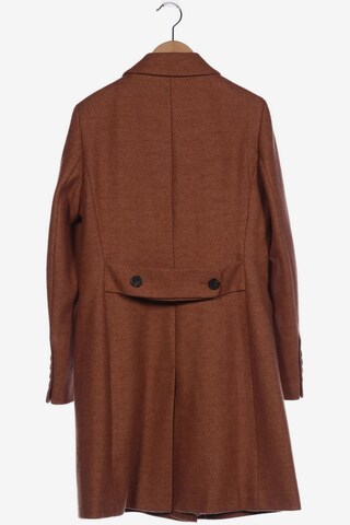 NEXT Jacket & Coat in L in Brown