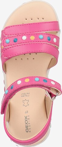 GEOX Sandals in Pink