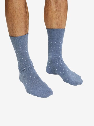 Chaussettes ESPRIT en bleu : devant