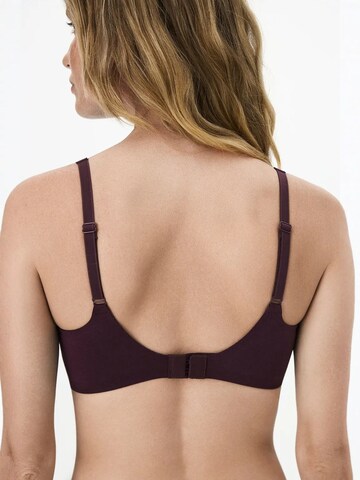 Classique Soutien-gorge 'BHs & Bralettes' Penti en violet