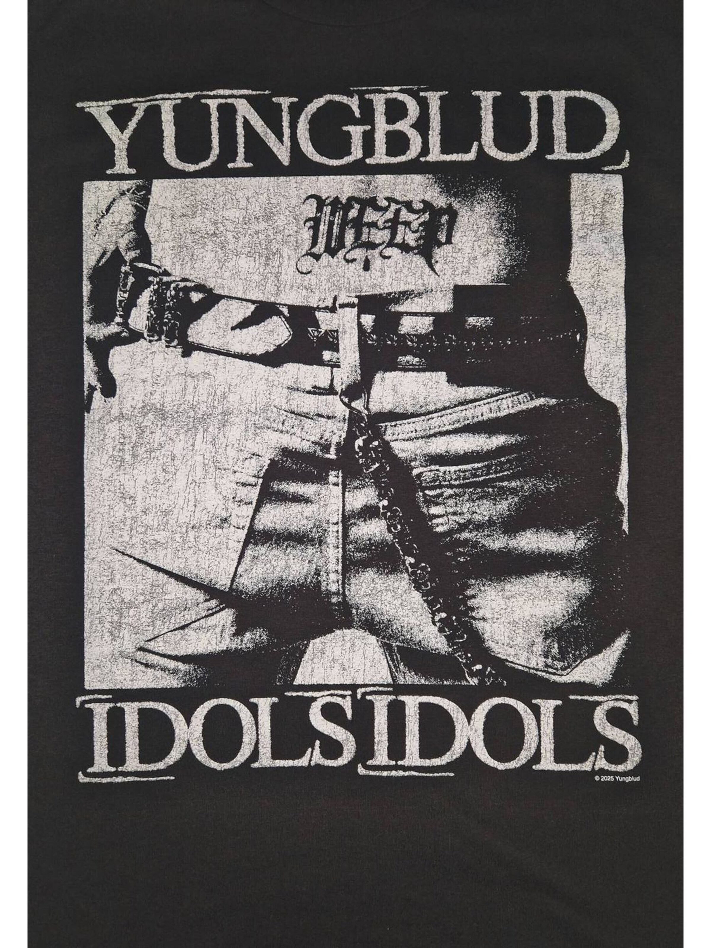 Yungblud Koszulka 'Yungblud Idols T-Shirt' w kolorze szary