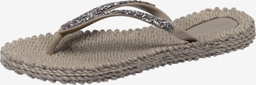 Tongs 'CHEERFUL03G' ILSE JACOBSEN en gris : devant