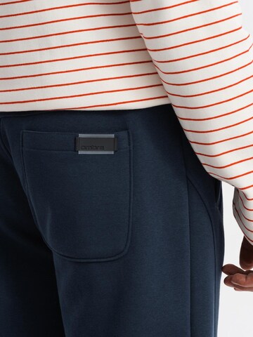 Ombre Regular Broek in Blauw