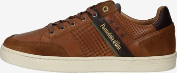 PANTOFOLA D'ORO Sneakers laag 'Vicenza' in Bruin