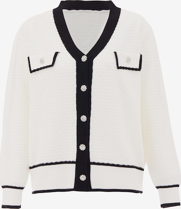 CHANI Knit Cardigan in White: front