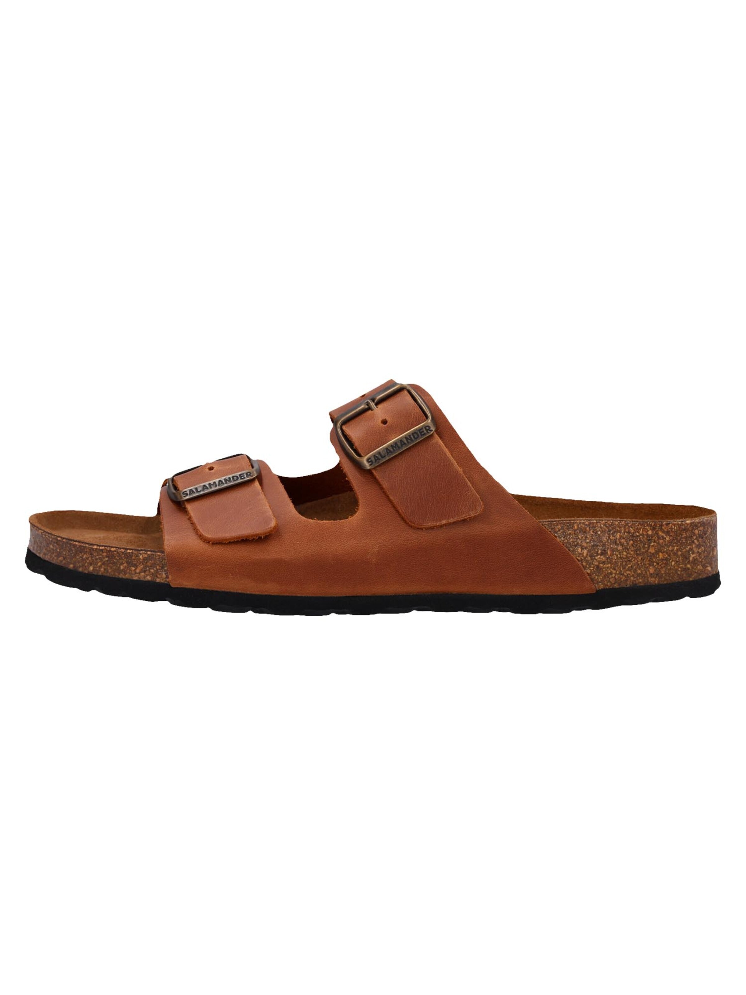 SALAMANDER Mules 'Basic' in Brown: front