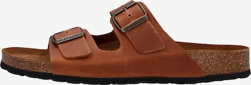 SALAMANDER Mule 'Basic' in Brown: front