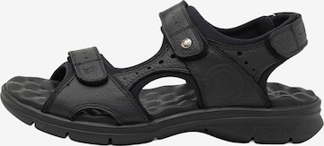 juoda PANAMA JACK Sportinio tipo sandalai 'Salton C36': priekis