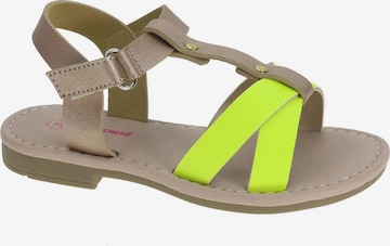 Beppi Sandale 'Casual Sandal' in Braun: Vorderseite