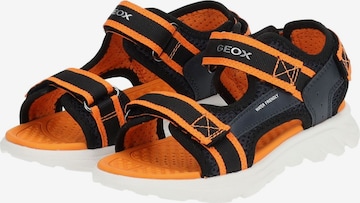 GEOX Sandale in Orange