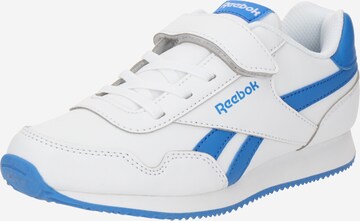 Reebok Кроссовки 'ROYAL CL' в Белый: спереди