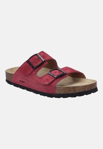JOSEF SEIBEL Mules 'Hermine 06' in Red