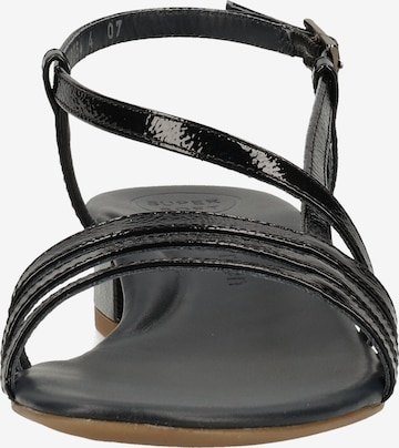 Paul Green Sandalen met riem in Blauw