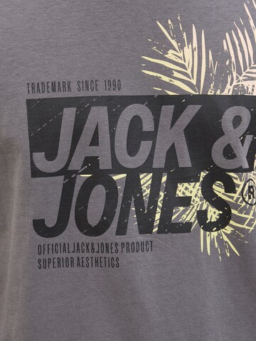 Jack & Jones Plus Bluser & t-shirts 'JJJAXON' i grå