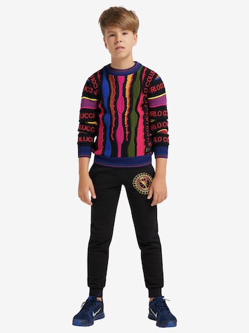 Carlo Colucci Sweater 'Casale' in Mixed colors