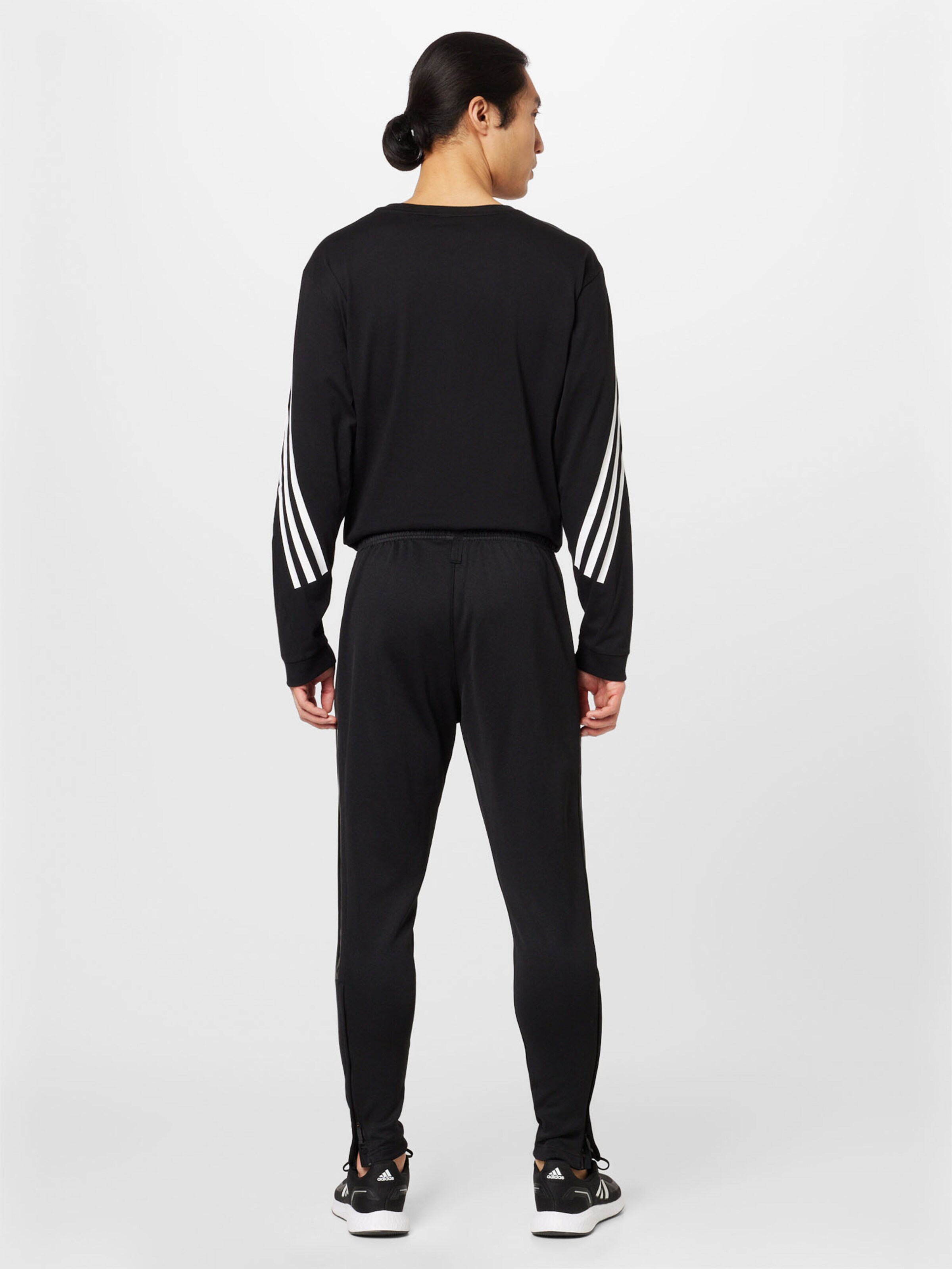 Adidas hotsell workout suit