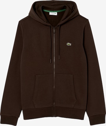 Felpa di LACOSTE in marrone: frontale