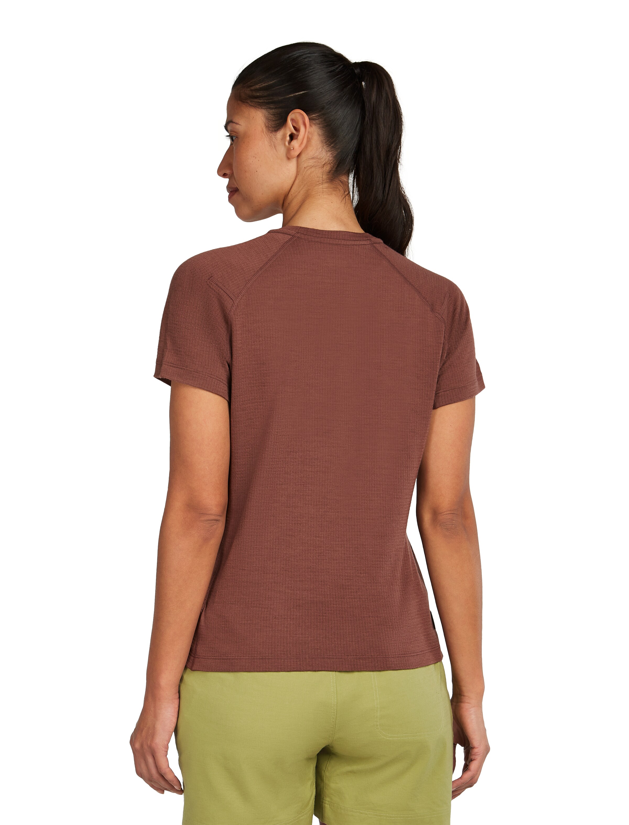 ICEBREAKER Performance shirt 'Elevation' in Brown