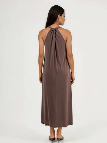 Busem Dress in Brown