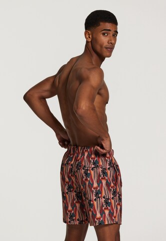 Shiwi Swimming shorts 'catch of the day 4-way stretch' in Green