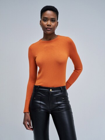 Salsa Jeans Trui in Oranje: voorkant