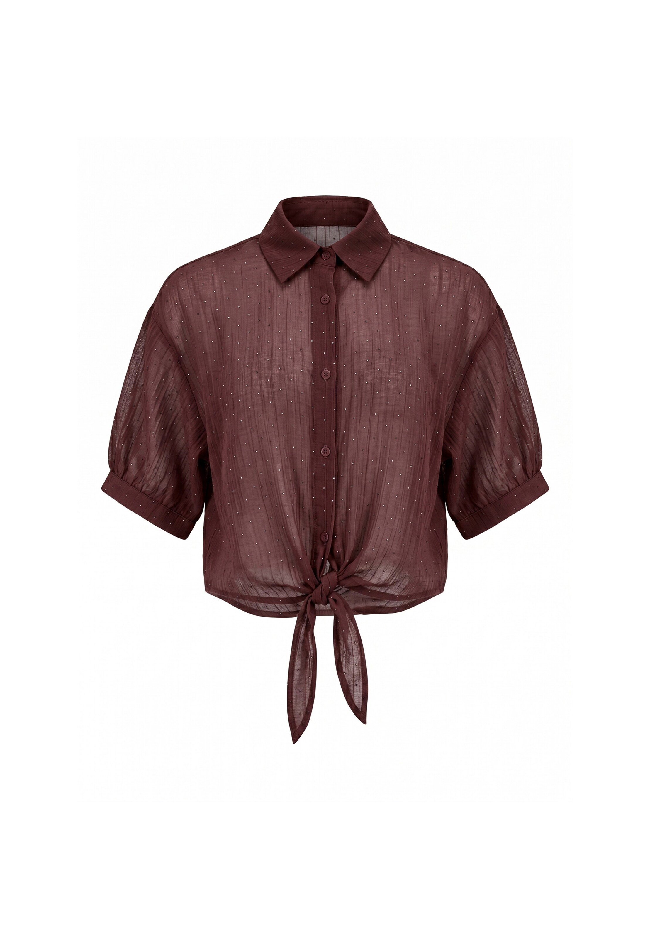 Robe usha BLACK LABEL en marron