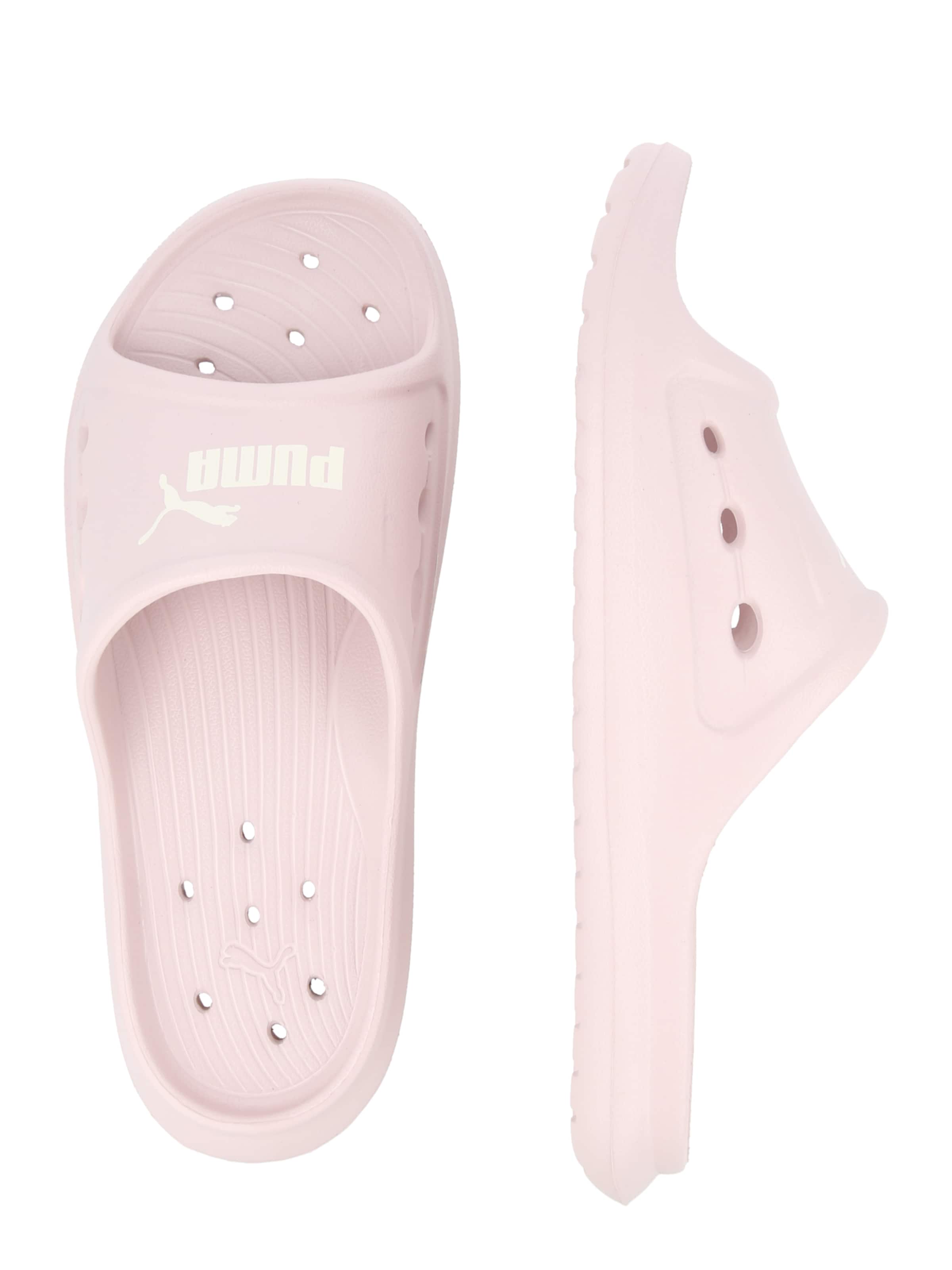 PUMA Pantofle 'Divecat Dry' – pink