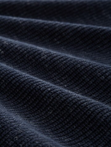 TOM TAILOR Trui in Blauw