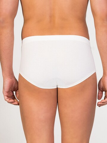 zd ZERO DEFECTS - Braga 'Saturno Soya fly Front Brief' en blanco