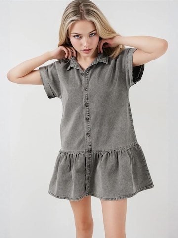 Bigdart Jurk in Grijs