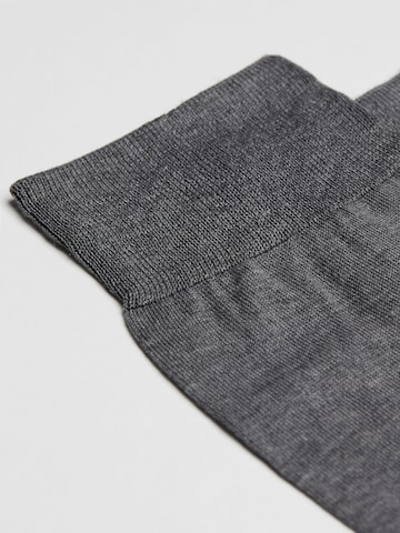 CALZEDONIA Socks in Grey