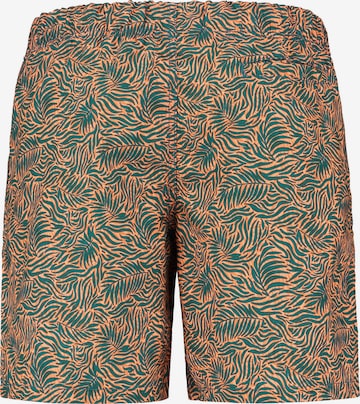 Shiwi Board Shorts in Orange