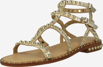 ASH Strap Sandals 'PRECIOUS' in Gold: front