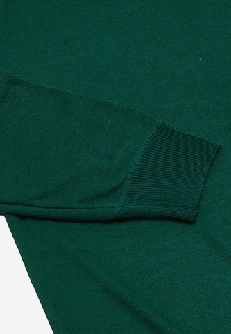 CELOCIA Sweater in Green