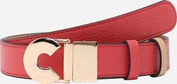 Coccinelle Belt in Red: front