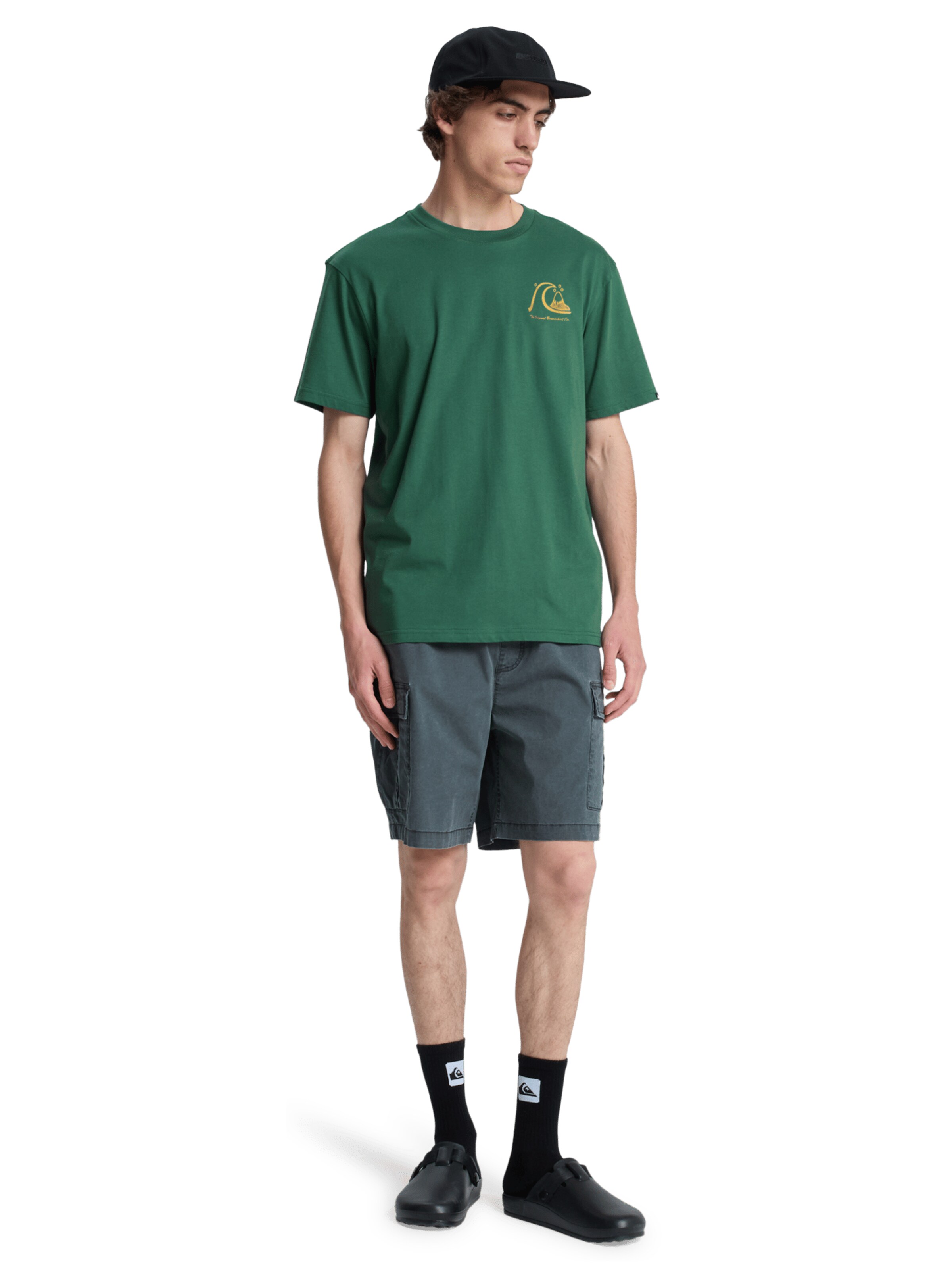 QUIKSILVER T-Shirt 'Evo Original' in Grün