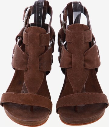 BARACHINI Sandals & High-Heeled Sandals in 38 in Brown