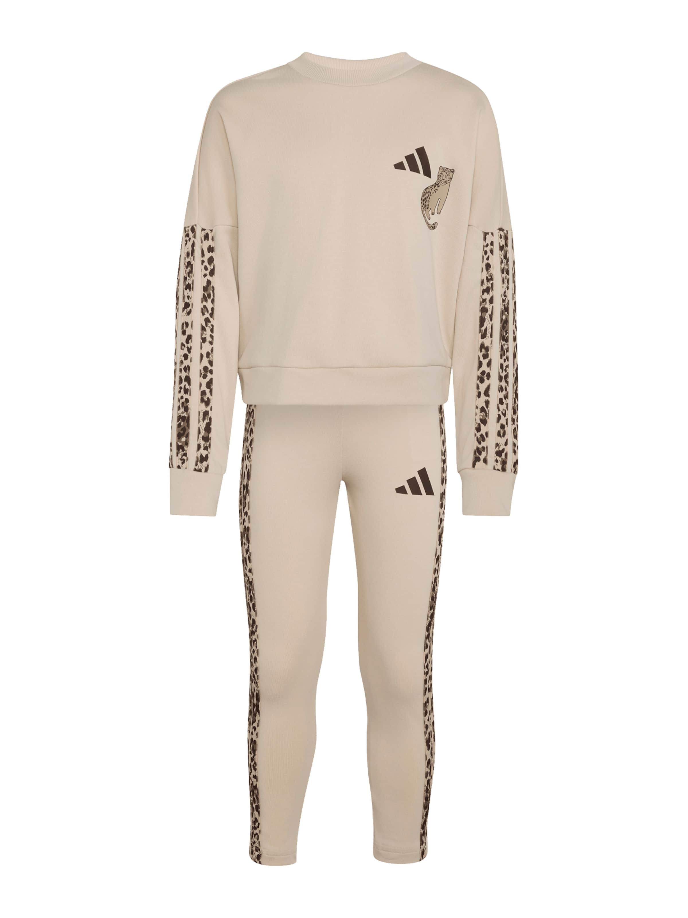 ADIDAS SPORTSWEAR - Fato de treino em cinzento: frente
