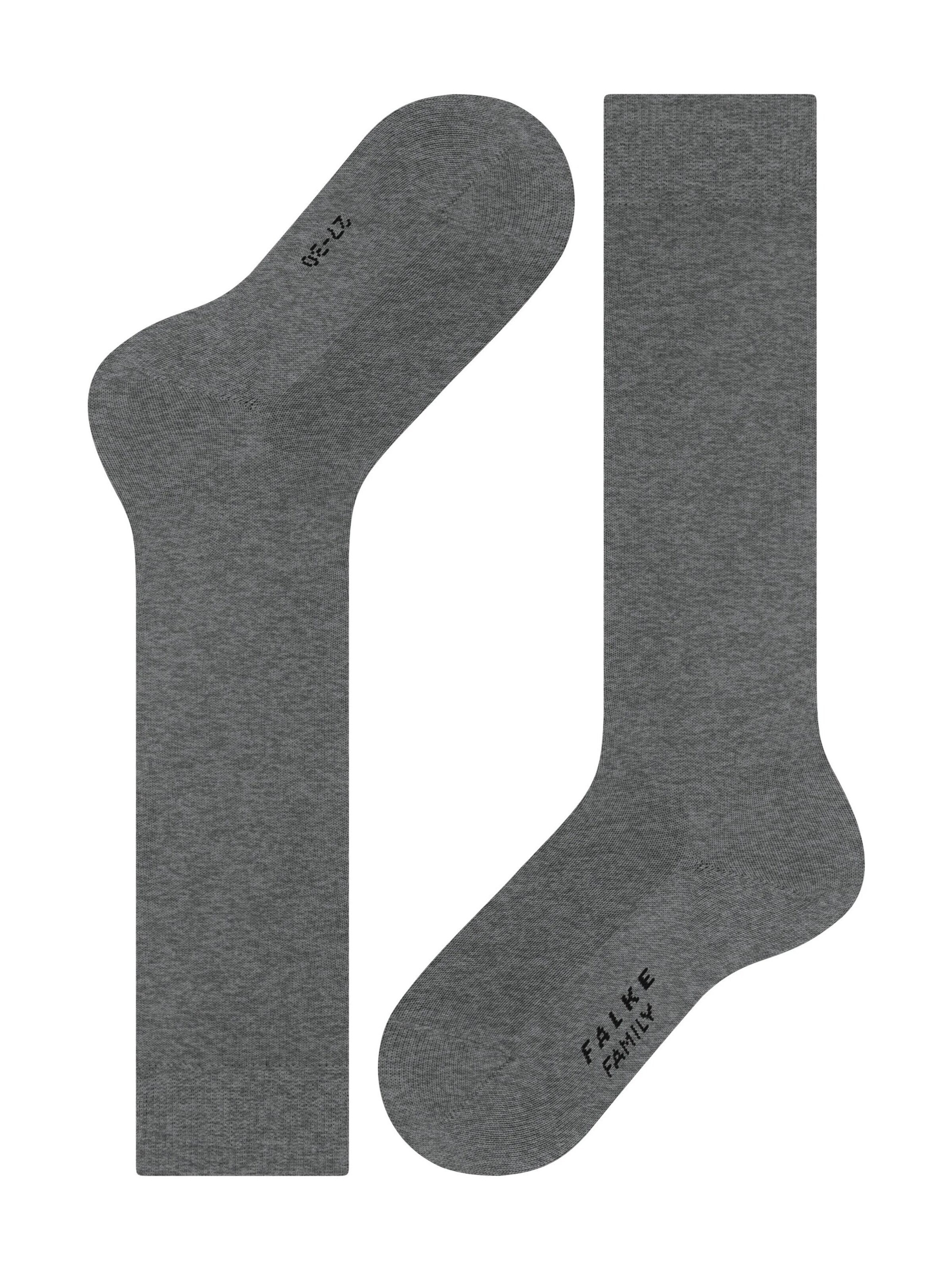 FALKE Socks 'Family' in Grey