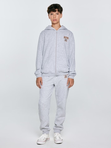 BIG STAR Sweatjacke 'ARON' in Grau
