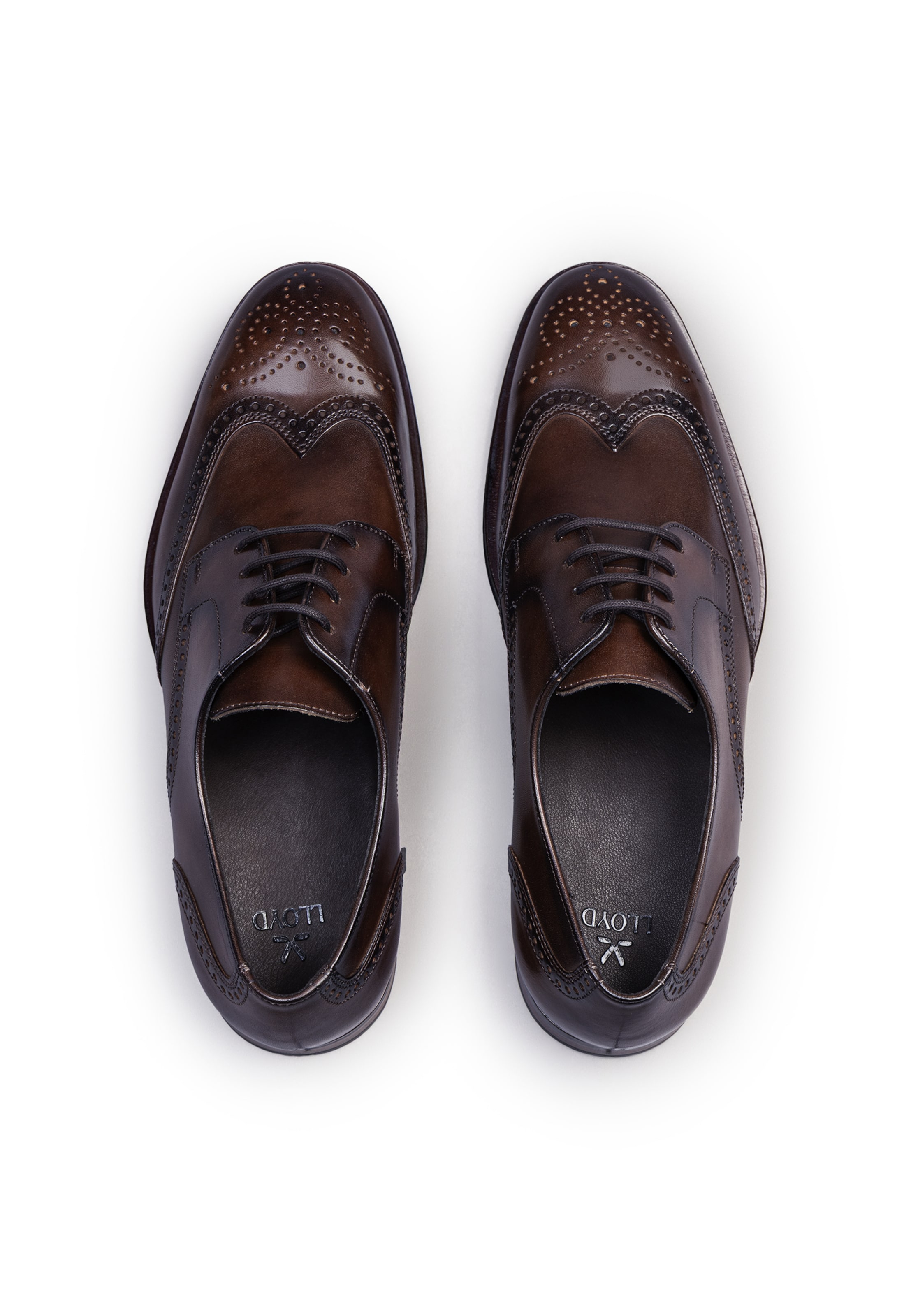 Scarpa stringata di LLOYD in marrone