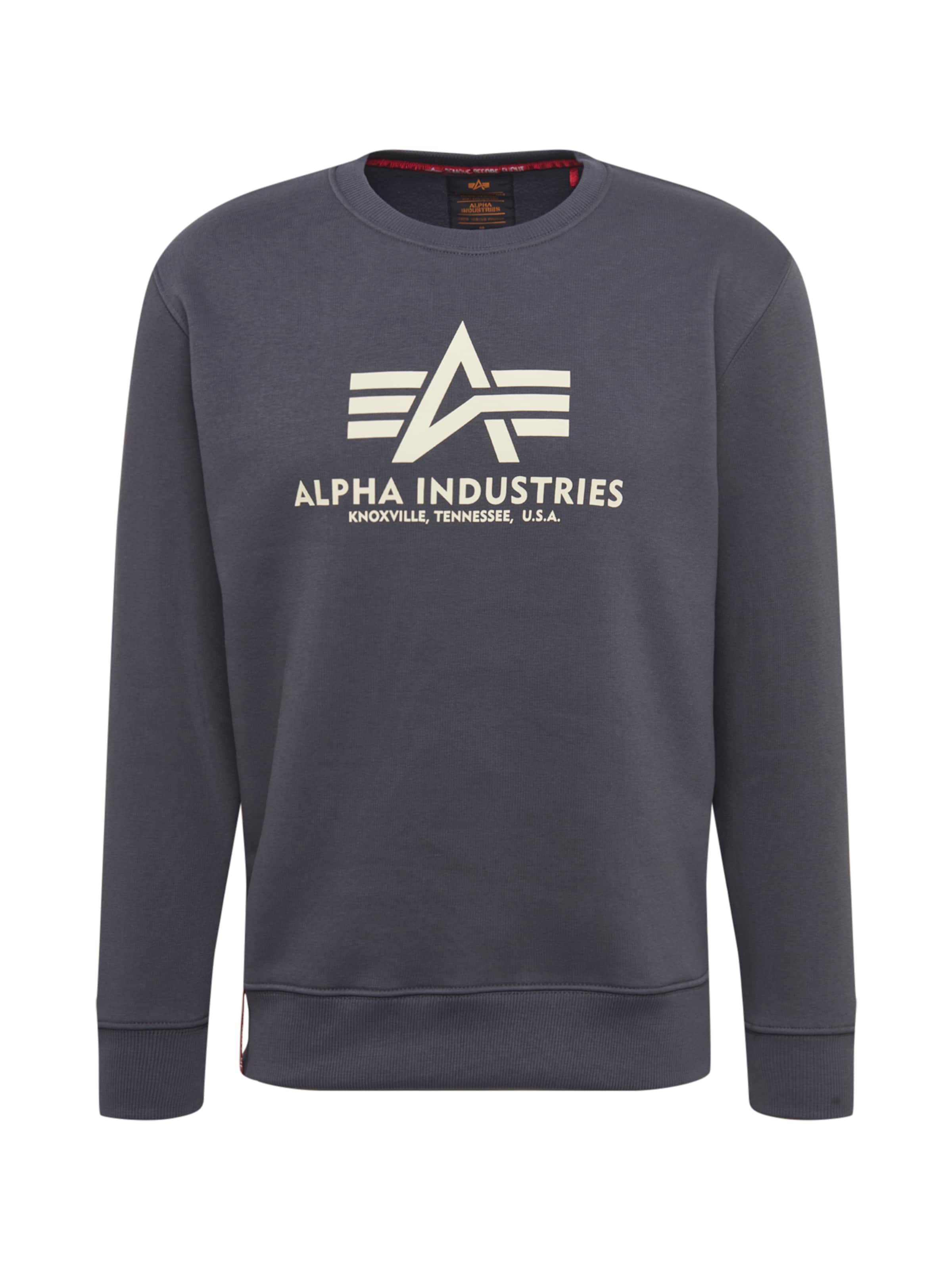 ALPHA INDUSTRIES Sweatshirt in Grey: front