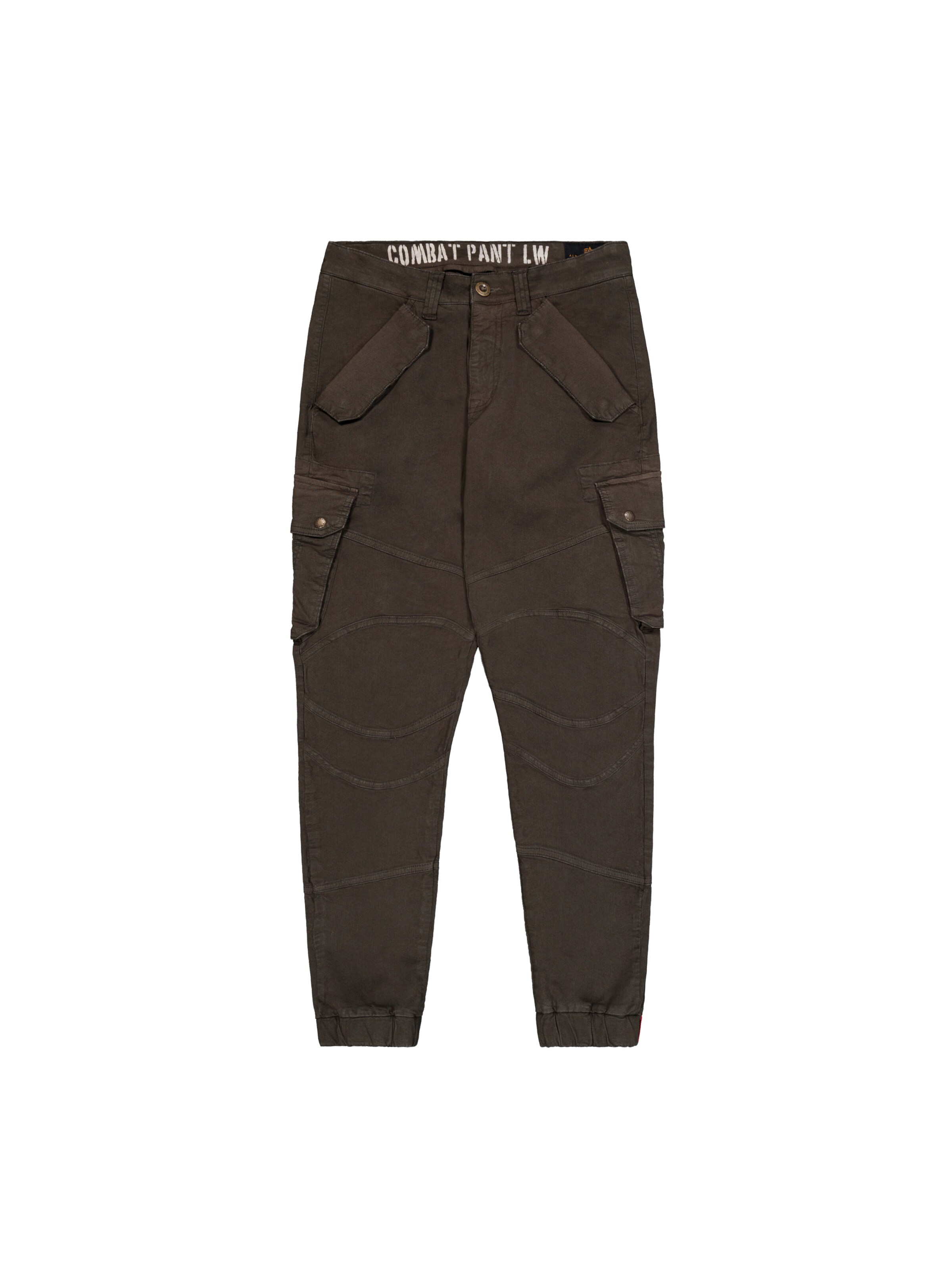 Pantaloni cargo 'Combat' di ALPHA INDUSTRIES in marrone: frontale